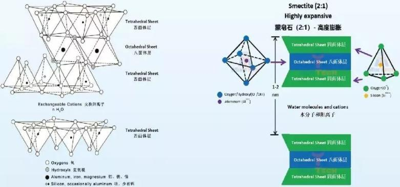 圖片3.png 圖片3.png